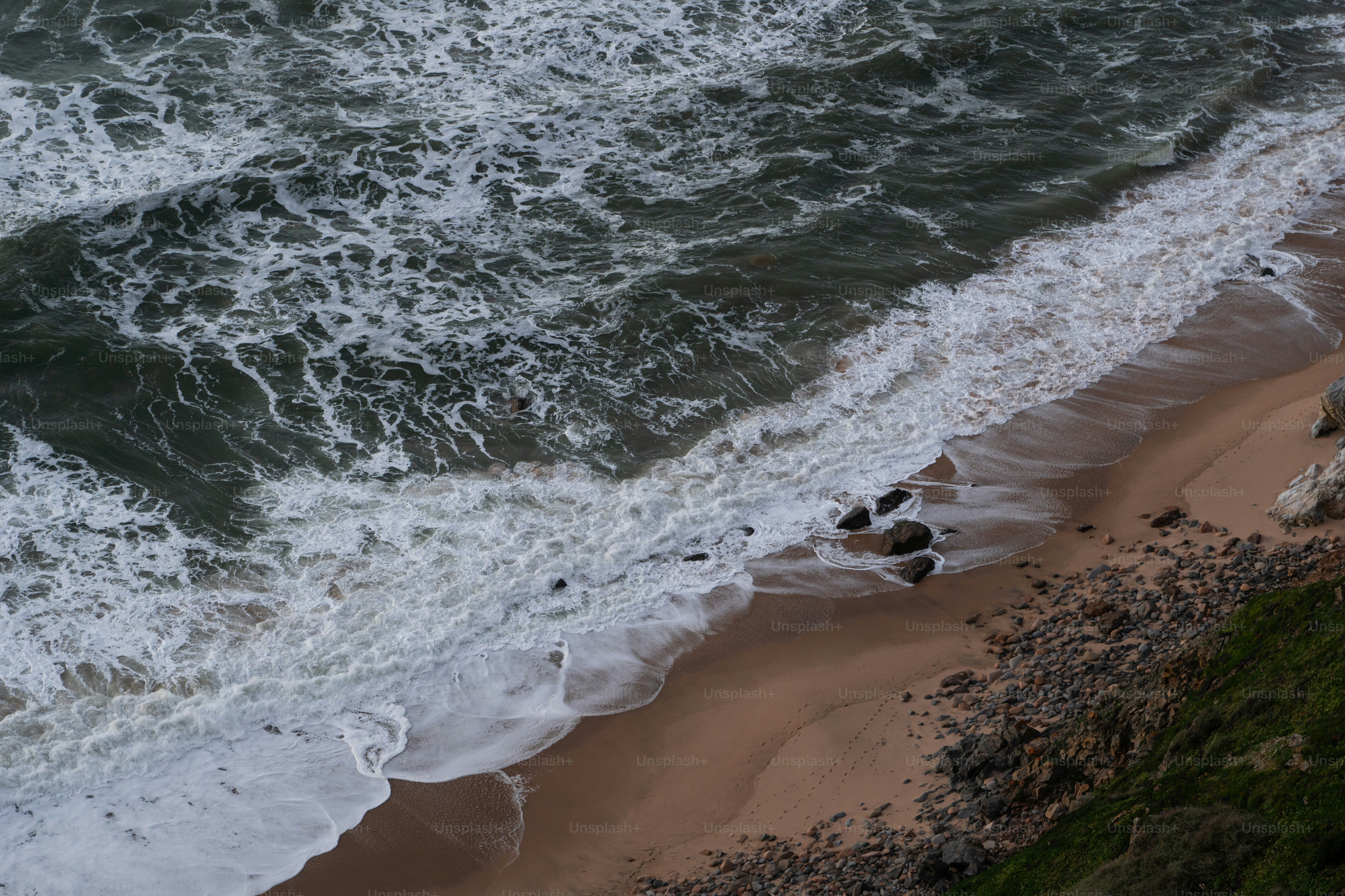 a bird is standing on the beach next to the water