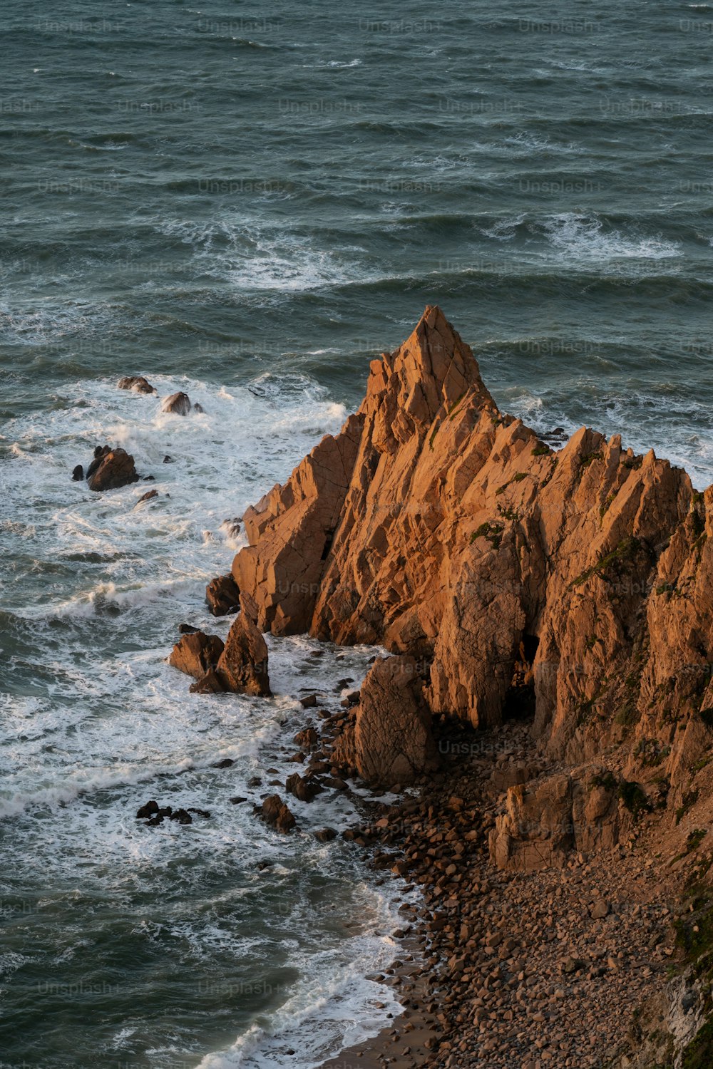 a bird sitting on a rock near the ocean