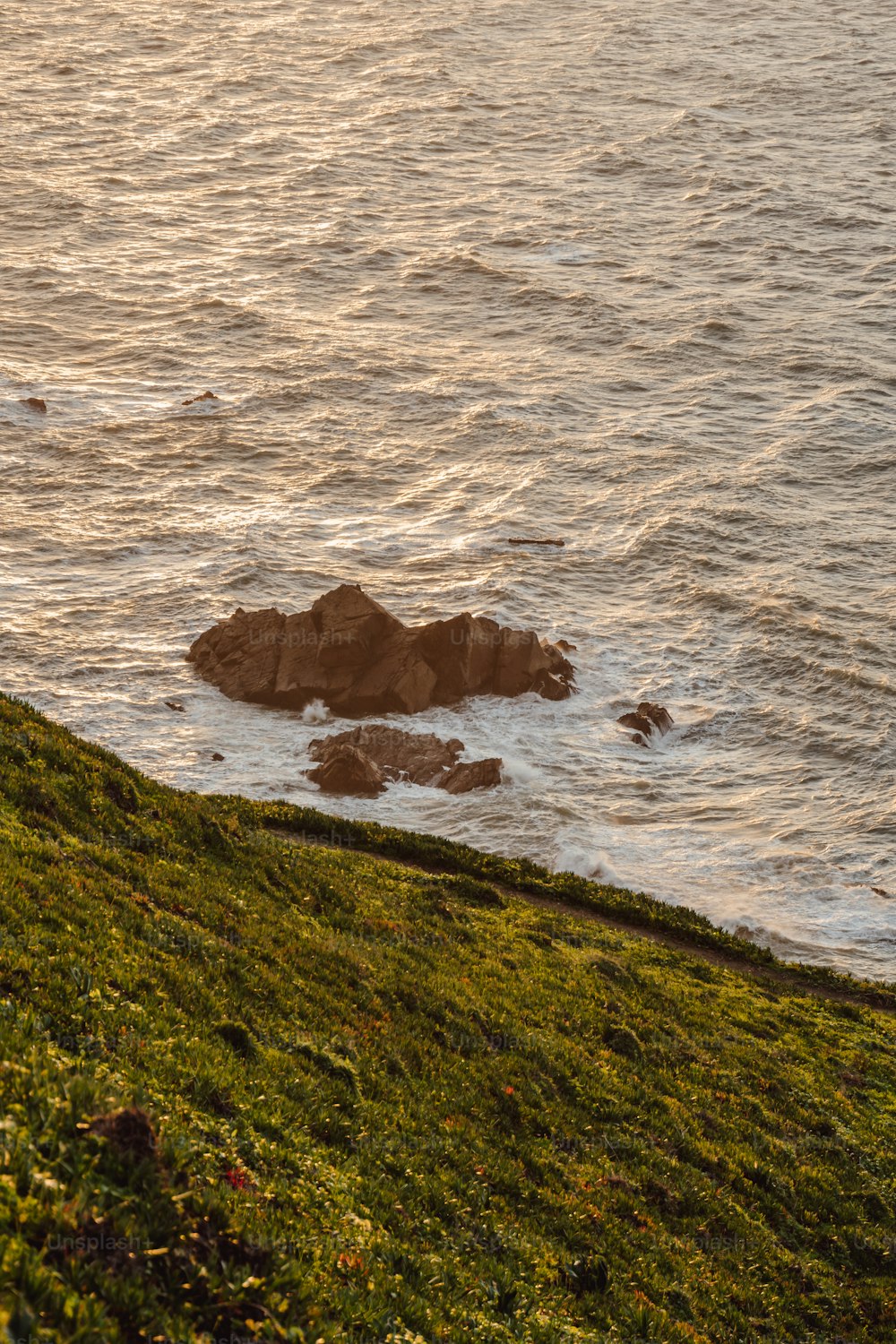 a couple of sheep standing on top of a lush green hillside