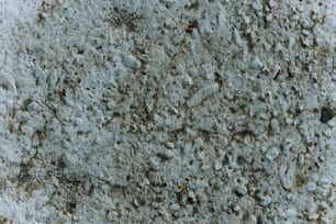 a close up of a cement surface with dirt and rocks