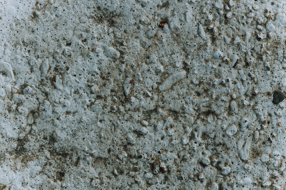 a close up of a cement surface with dirt and rocks