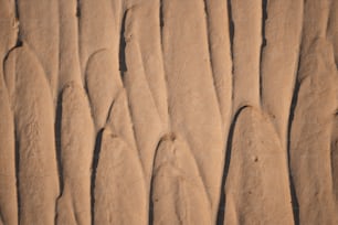 Vue rapprochée d’une dune de sable