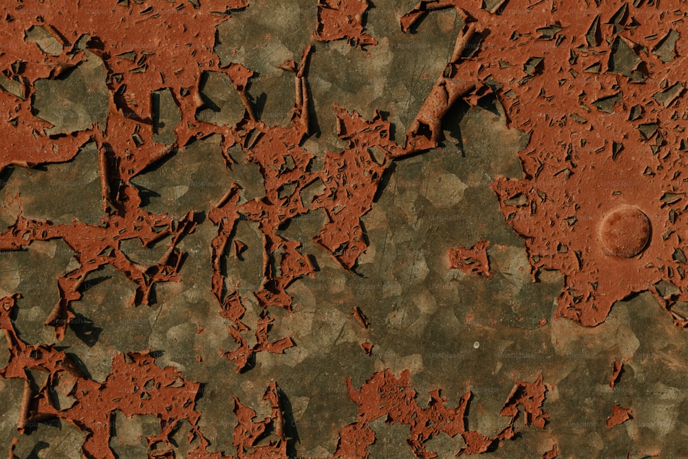 um close up de uma superfície vermelha e verde
