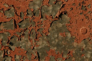 a close up of a red and green surface