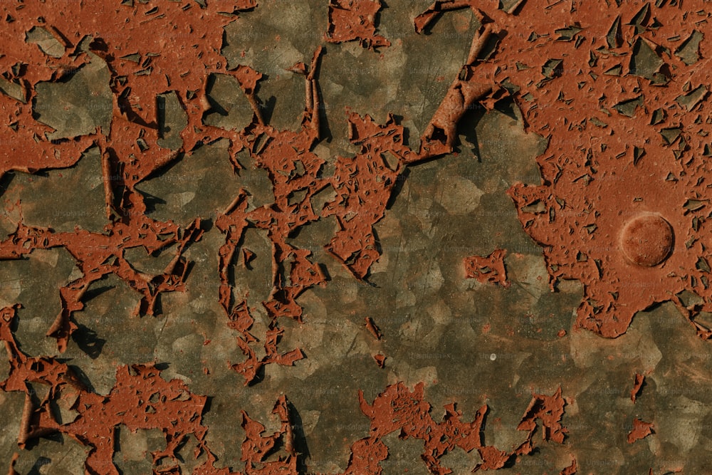 a close up of a red and green surface