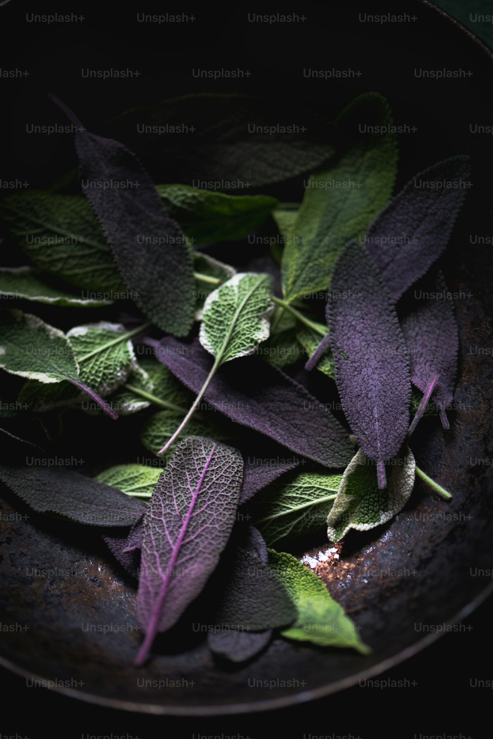 un bol rempli de feuilles vertes et violettes