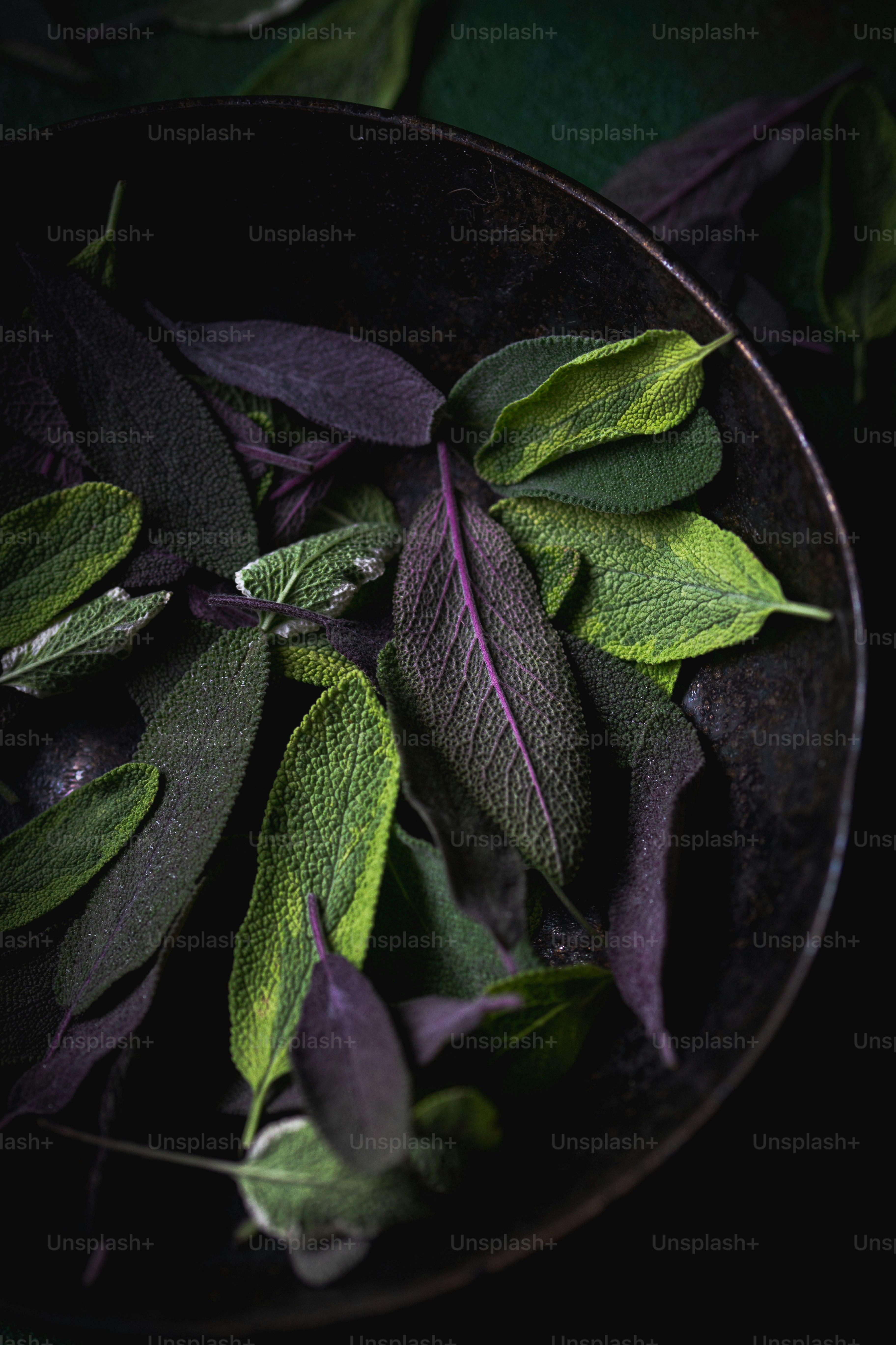 a black bowl filled with green leaves on top of a table