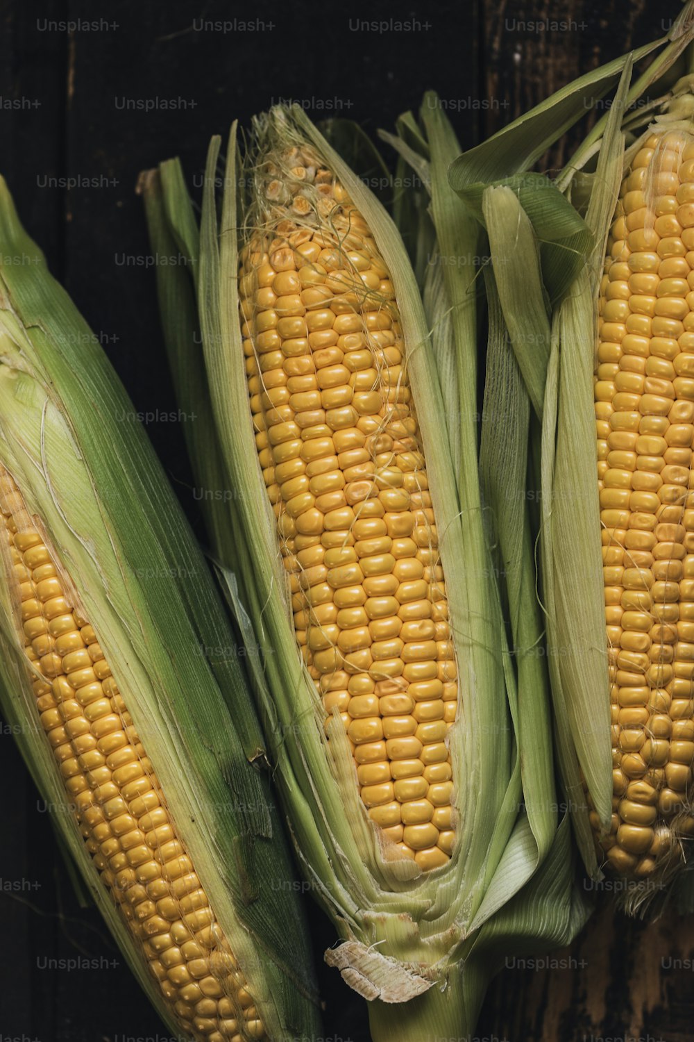 a close up of corn on the cob