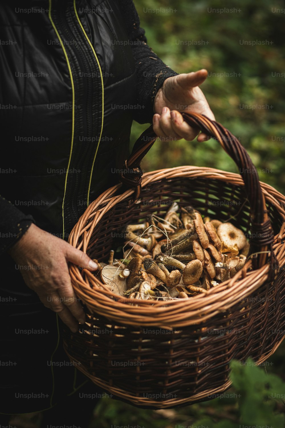 uma pessoa segurando uma cesta cheia de cogumelos