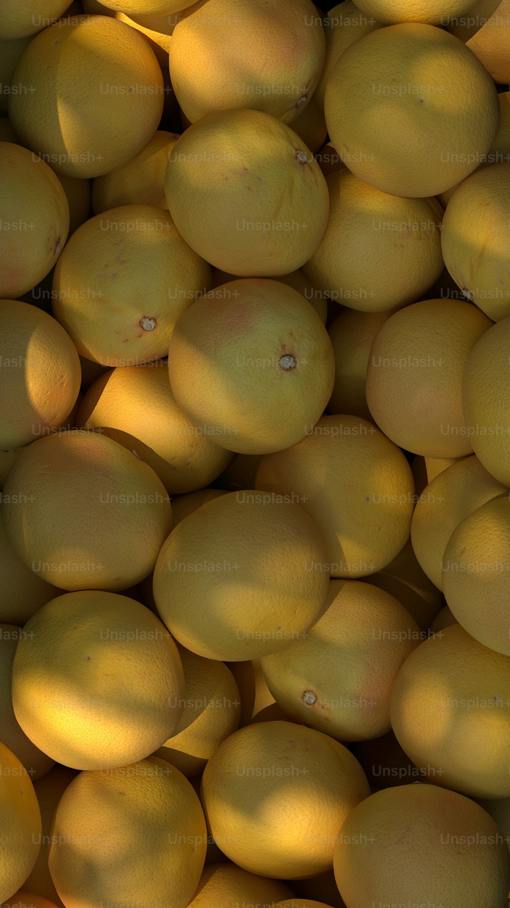 Ein Haufen Zitronen sitzt nebeneinander
