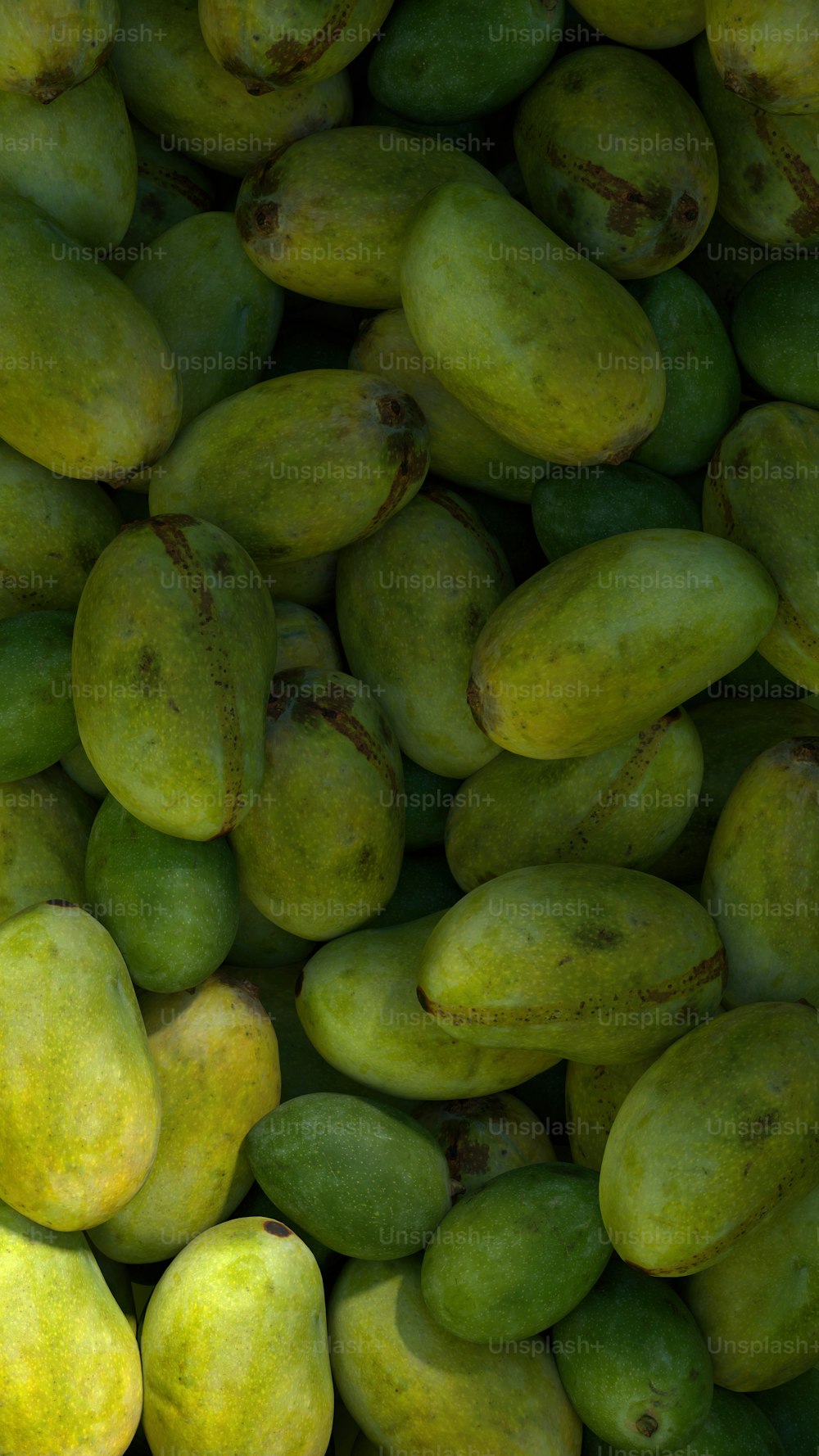 Ein Haufen grüner Mangos sitzt nebeneinander