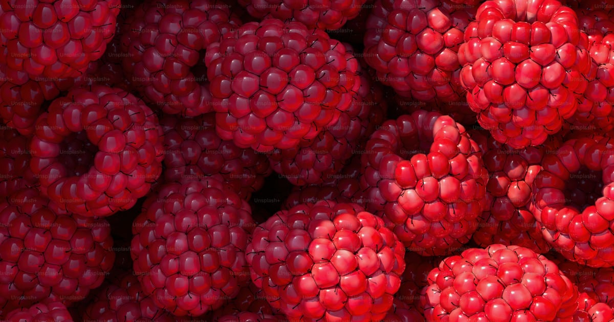 A bunch of raspberries that are red photo – Raspberries Image on Unsplash