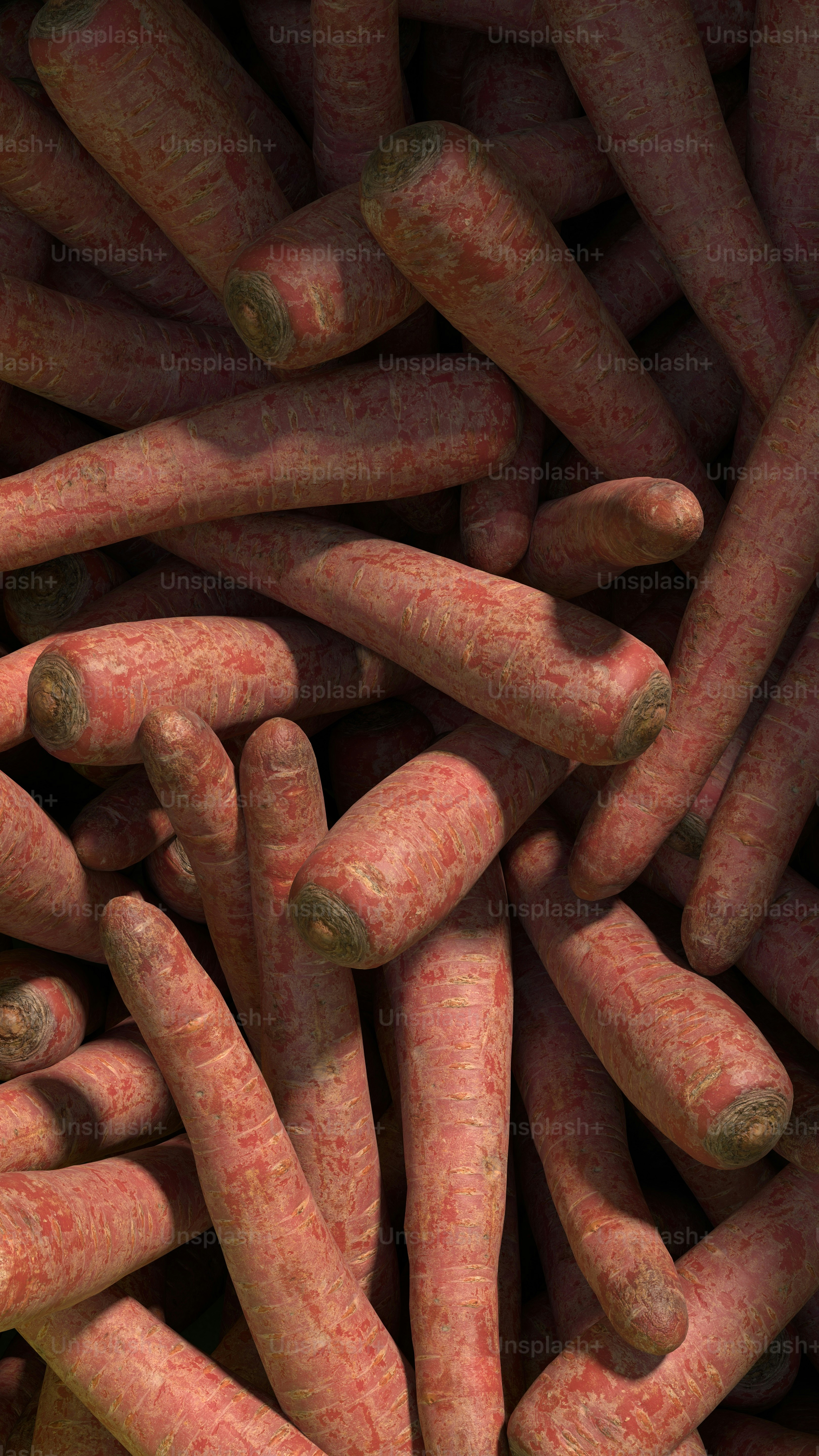 un tas de bébés carottes assis les uns à côté des autres