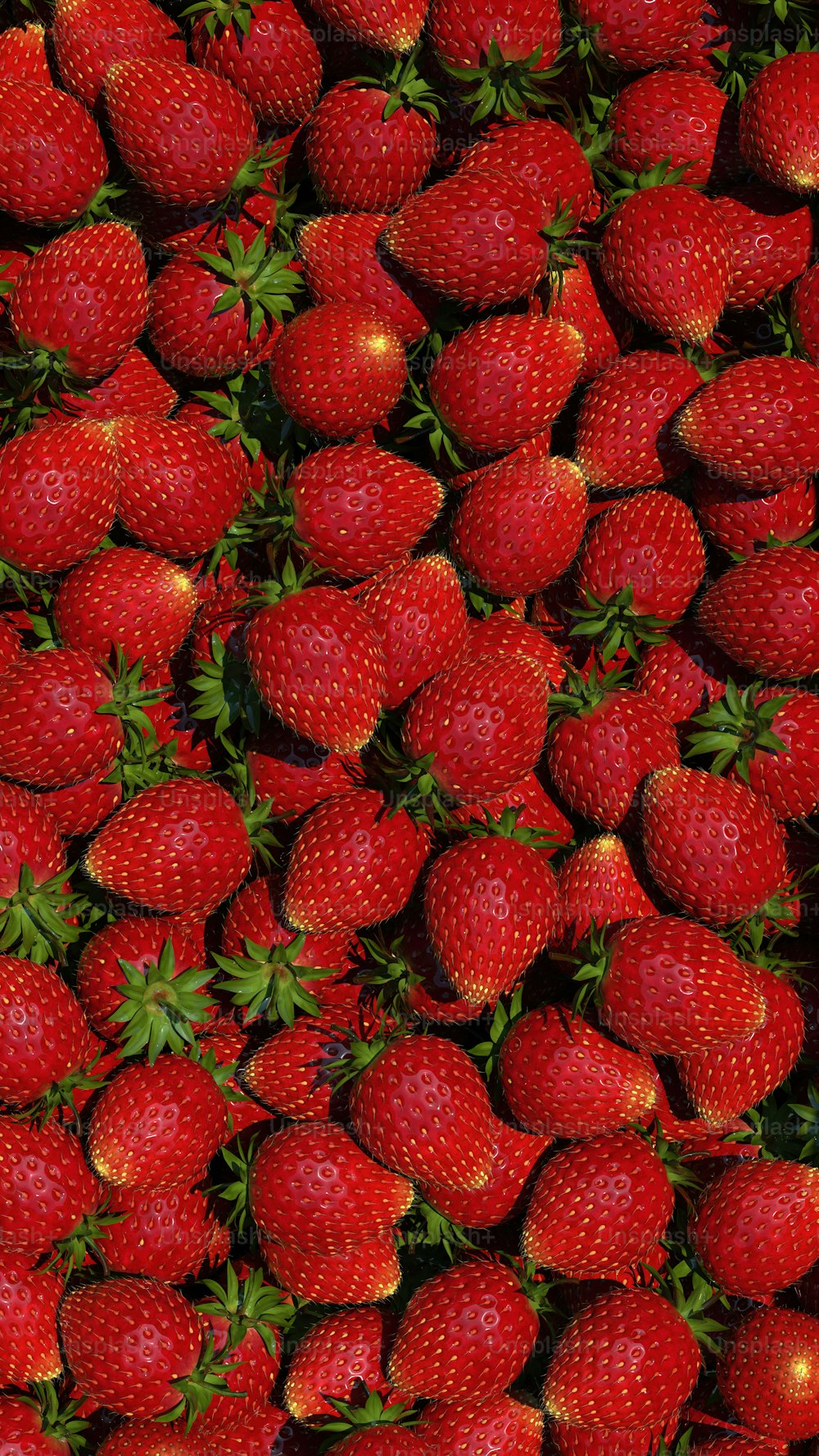 a close up of a bunch of strawberries