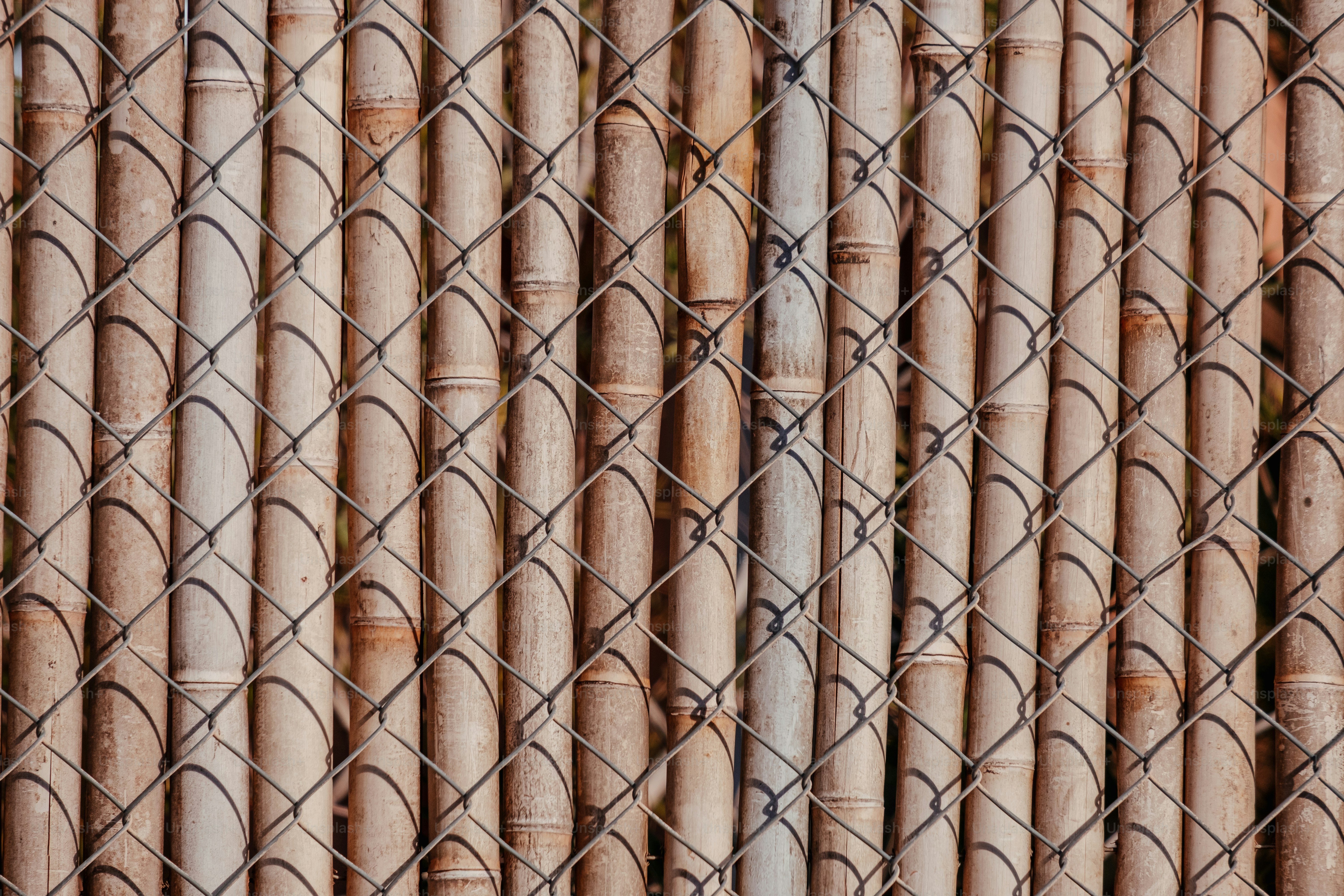 Chain Link Fence Pictures | Download Free Images on Unsplash
