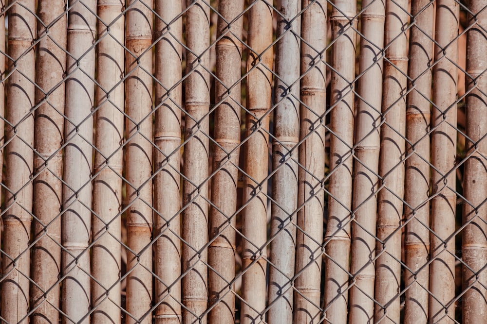 a close up of a chain link fence