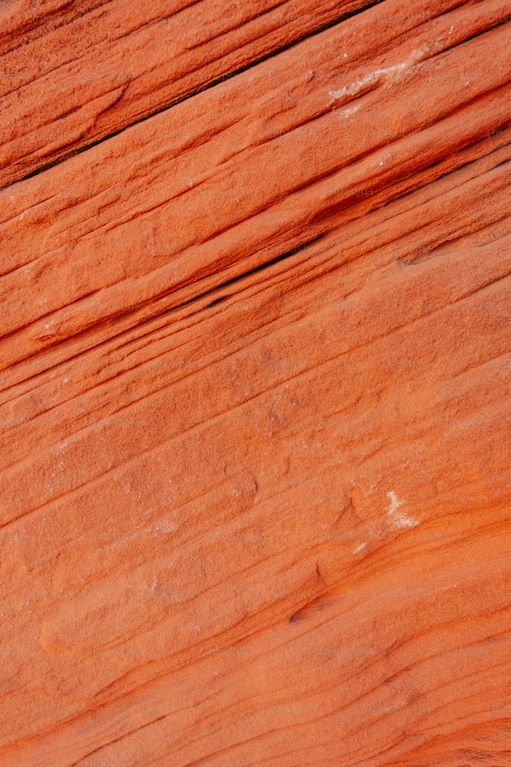a bird is perched on a red rock