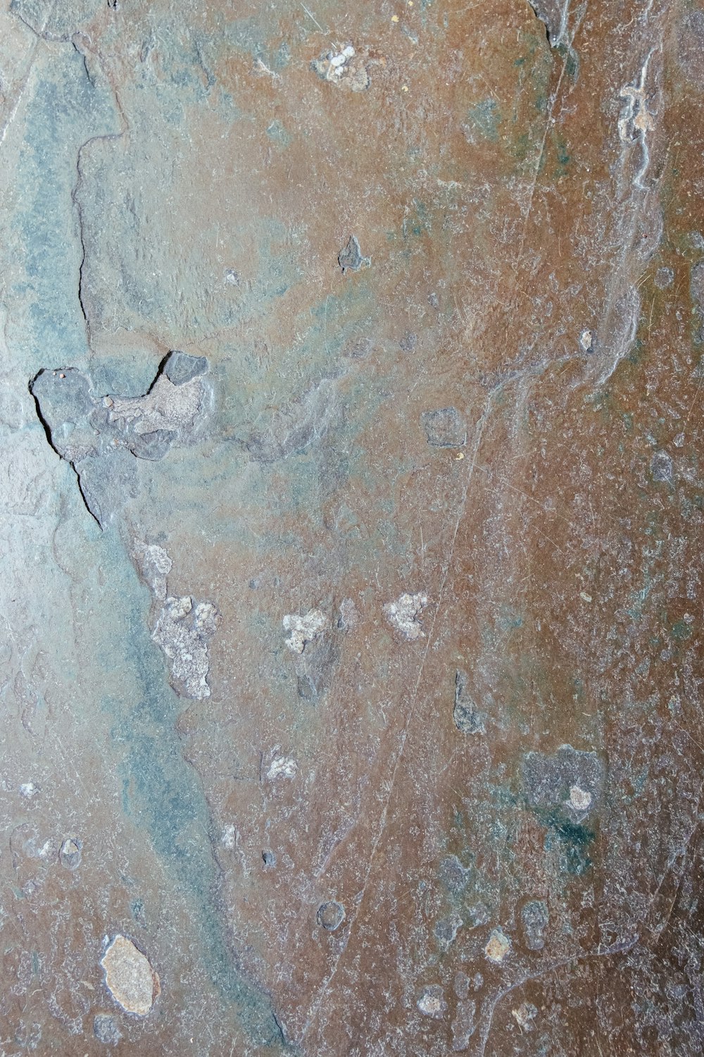 um close up de um pedaço de rocha no chão