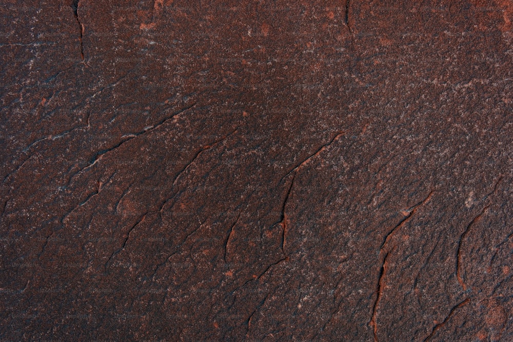 Una vista de cerca de una superficie marrón