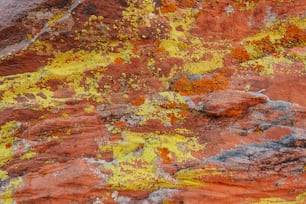 um close up de uma rocha com tinta amarela e vermelha