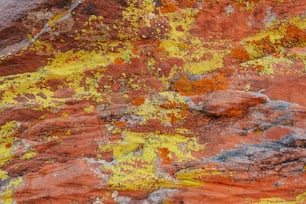 a close up of a rock with yellow and red paint