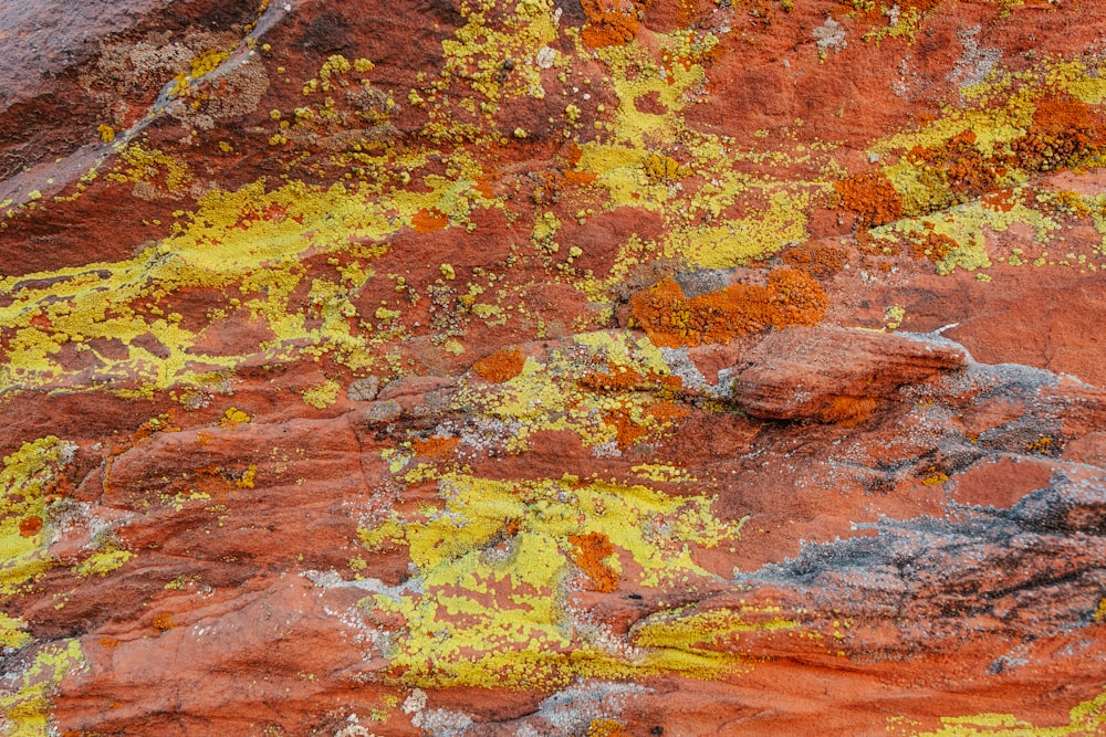 a close up of a rock with yellow and red paint