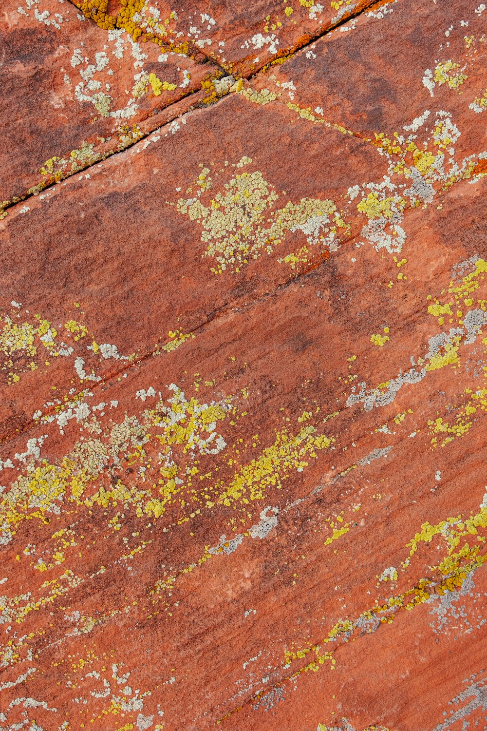 a close up of a rock with yellow and white paint