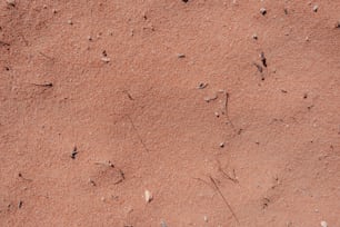as marcas dos pés de um pássaro na areia de uma praia