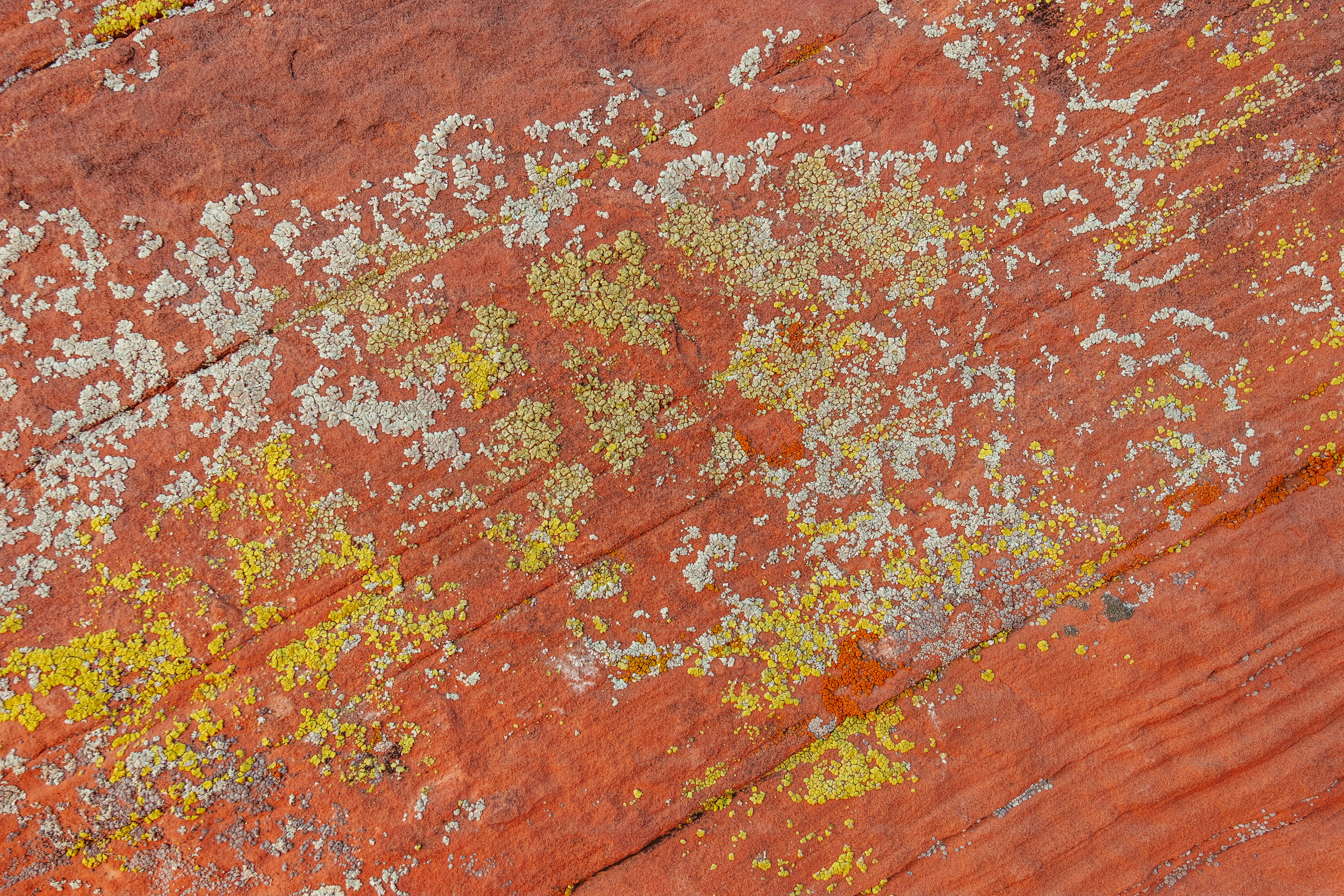 A close up of a rock with yellow and white paint photo – Texture Image ...
