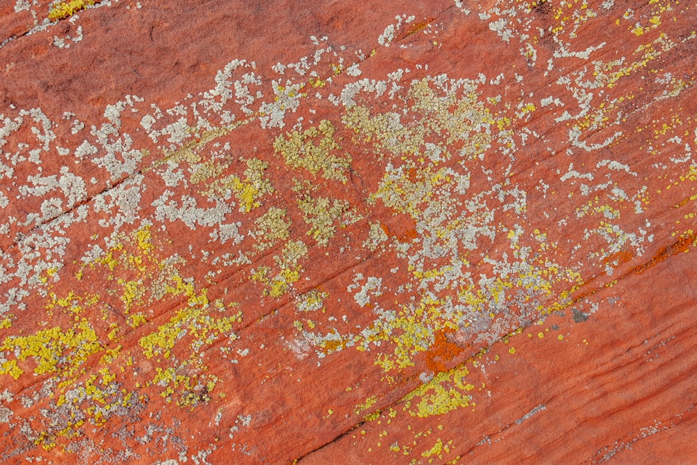 a close up of a rock with yellow and white paint