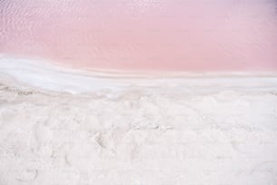 a pink and white substance is in the water
