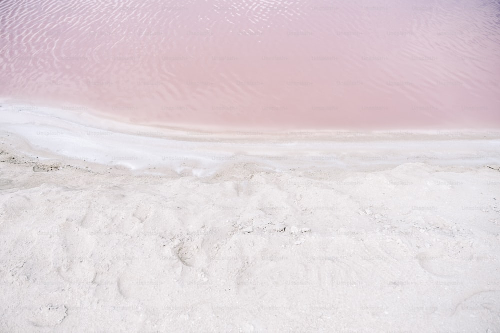 a pink and white substance is in the water