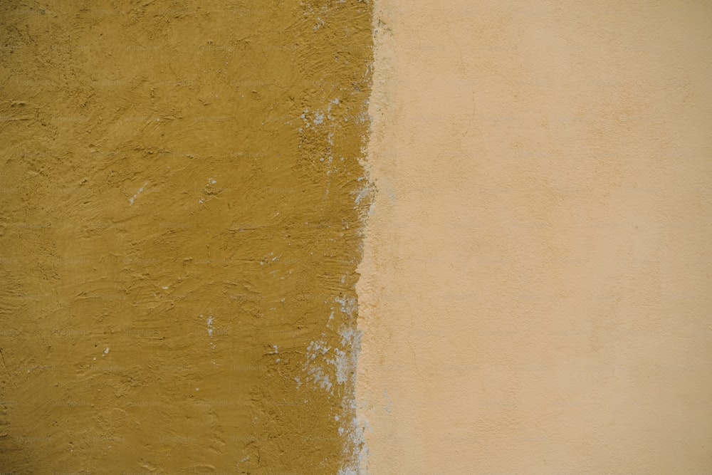 a black and white cat sitting on top of a yellow wall