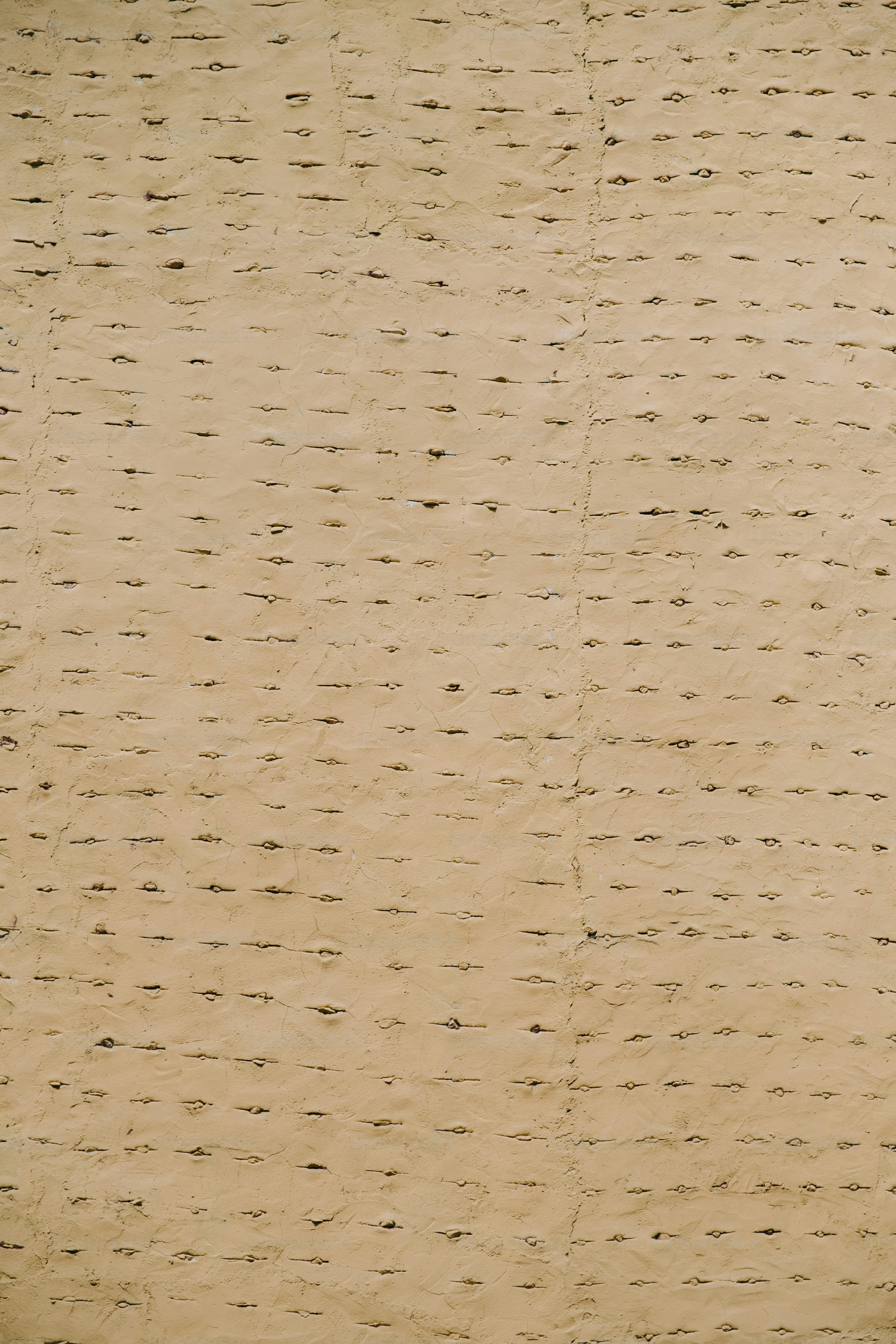 a bird sitting on top of a piece of paper