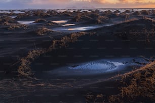 a sandy area with a small puddle of water in the middle of it