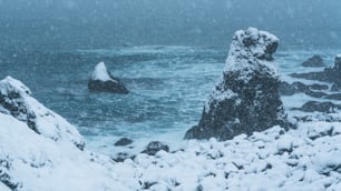a rocky shore covered in snow next to the ocean