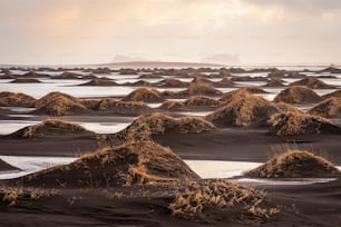 a group of sand mounds sitting on top of a beach