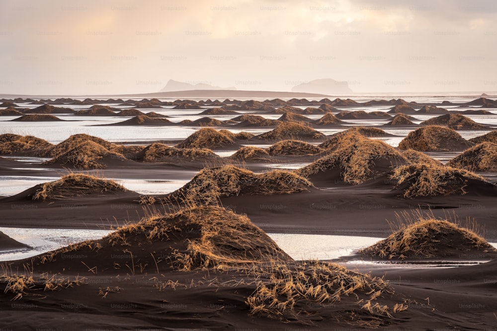 a group of sand mounds sitting on top of a beach