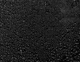 Ein Schwarz-Weiß-Foto von Regentropfen