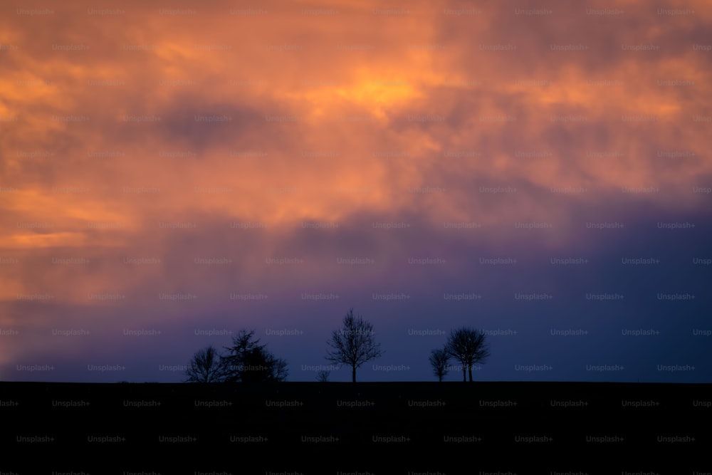 a couple of trees that are standing in the grass