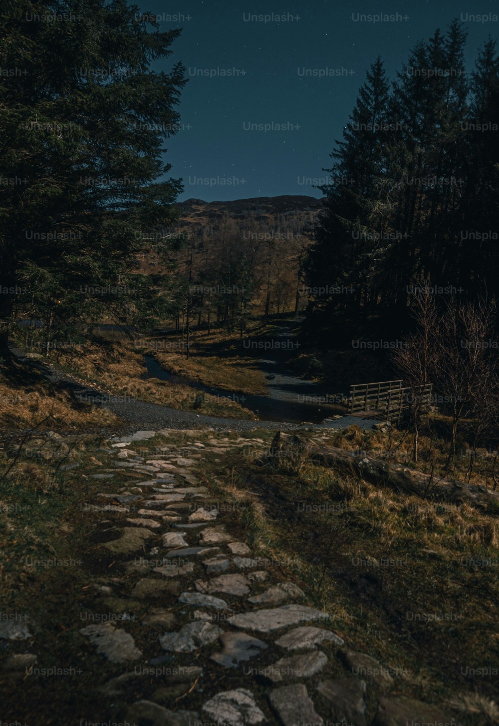 Ein Steinweg mitten im Wald