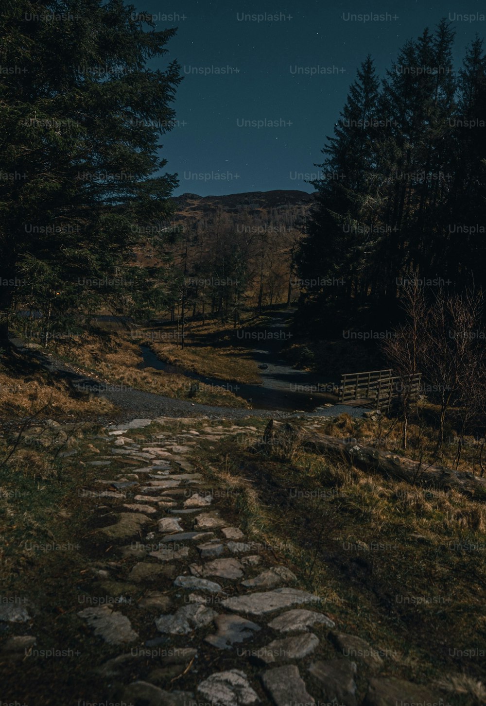 a stone path in the middle of a forest