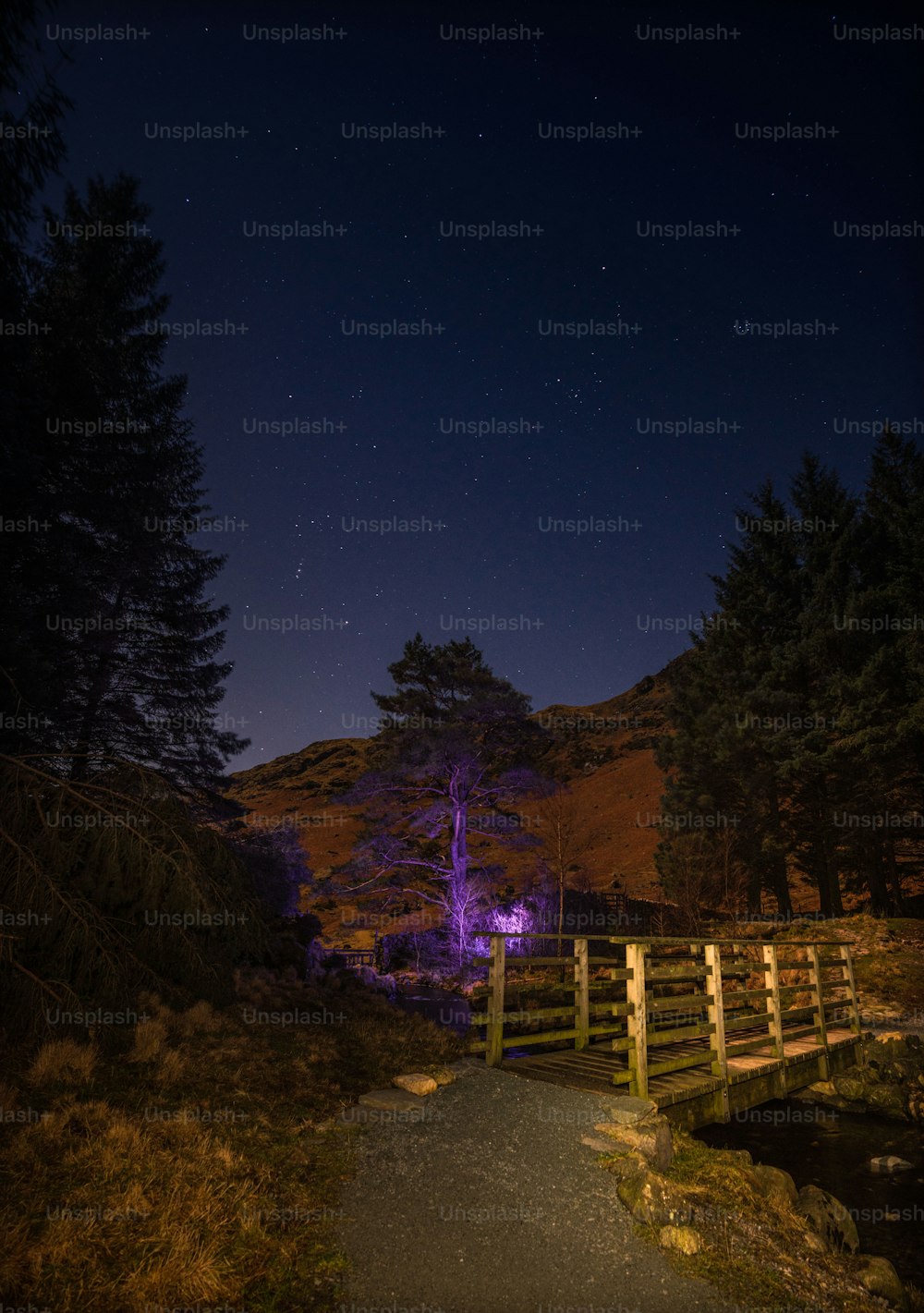 a wooden bridge over a small stream at night