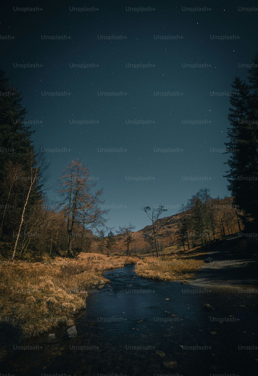 um rio que atravessa uma floresta sob um céu noturno