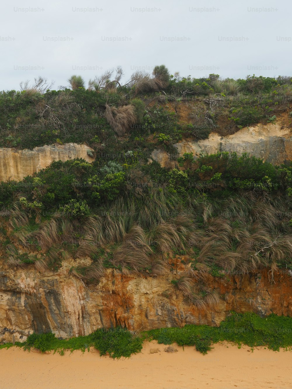 ein Strandbereich mit einer mit Vegetation bedeckten Klippe