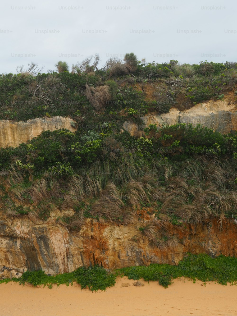 a beach area with a cliff covered in vegetation