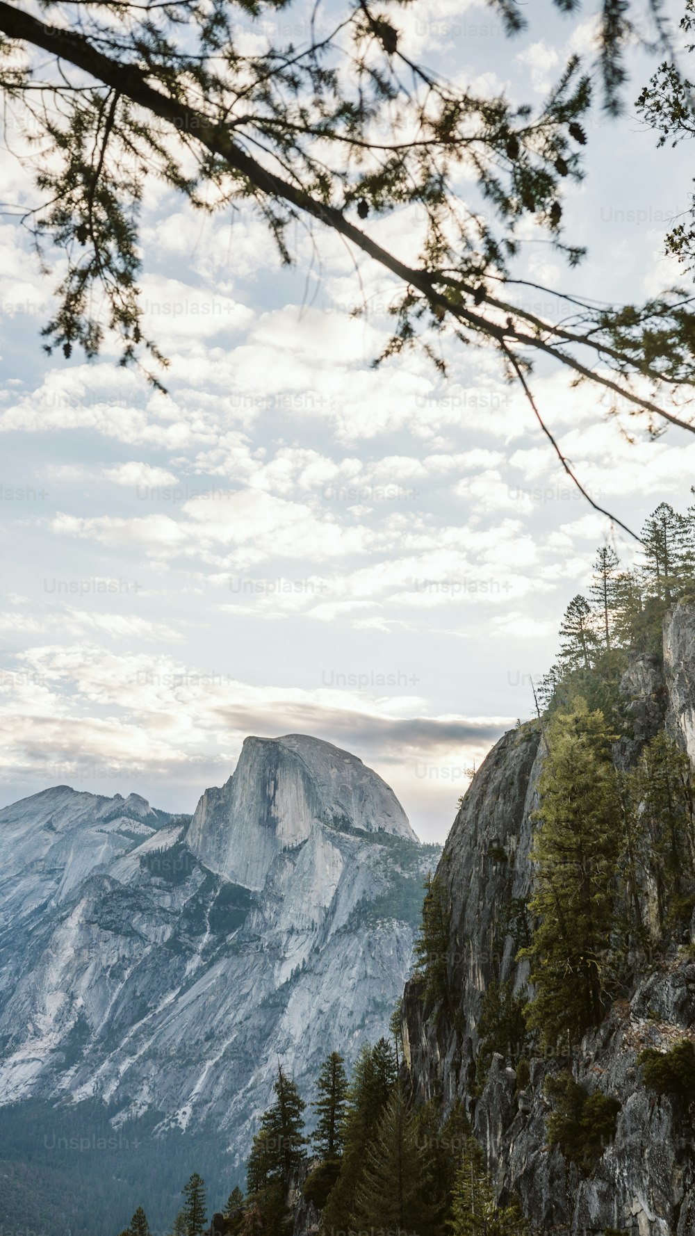 a man standing on top of a mountain next to a forest