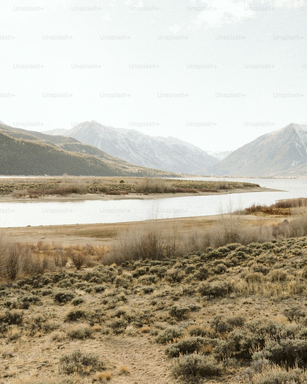 a large body of water sitting in the middle of a dry grass field