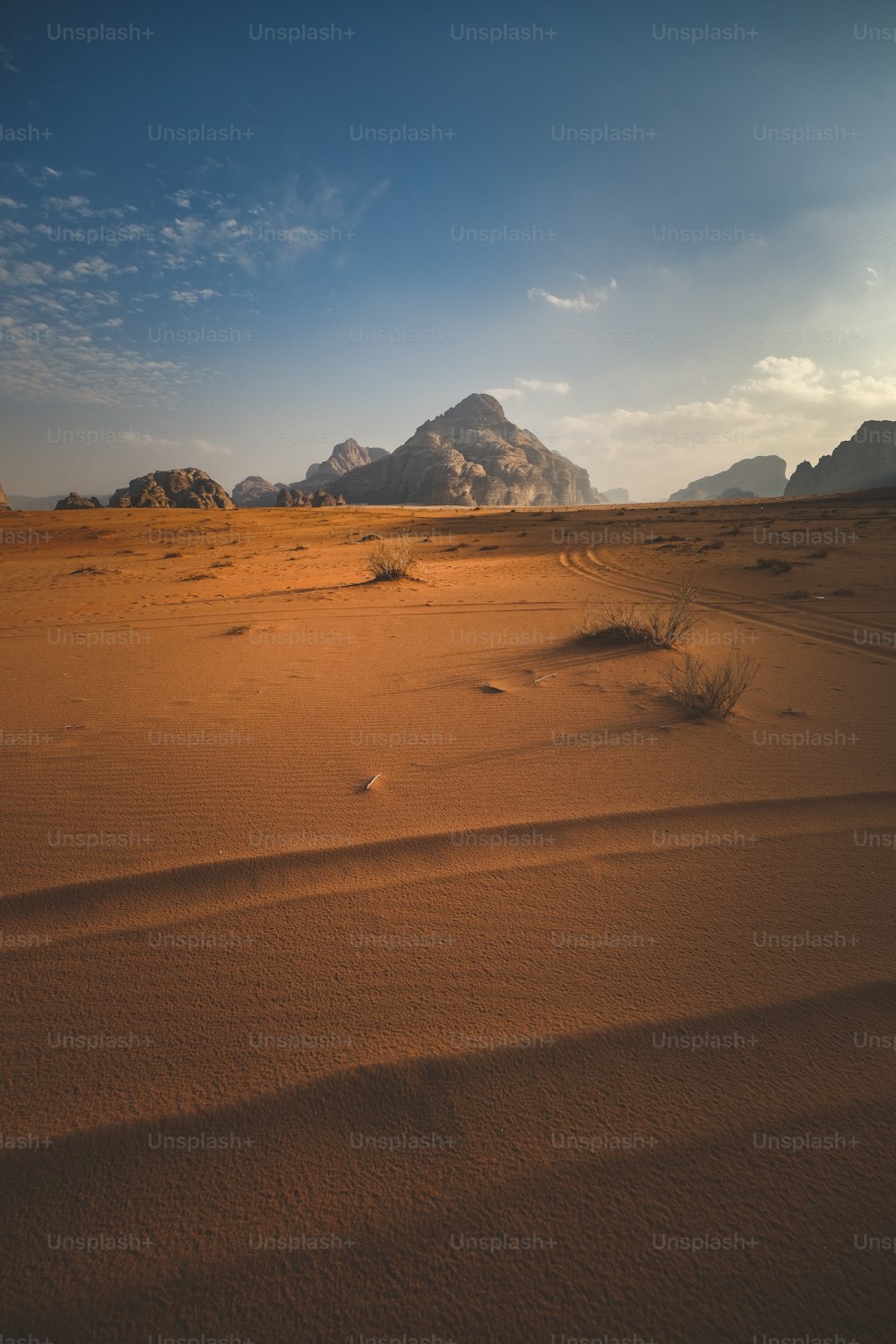 멀리 산이 있는 사막 풍경