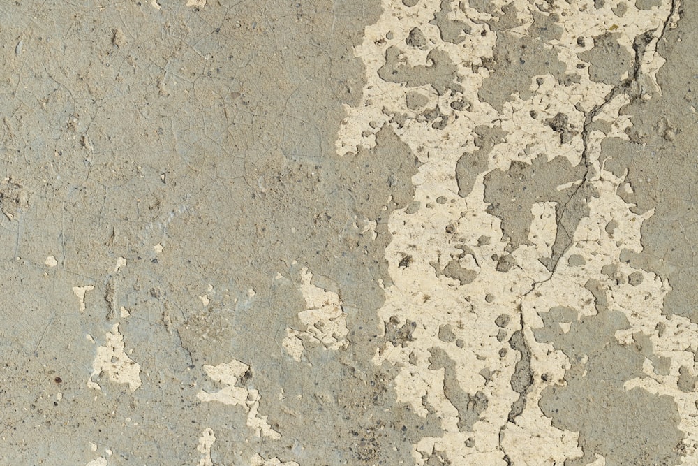 흰색 페인트로 시멘트 표면을 클로즈업
